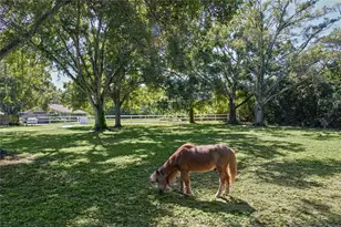 1817 N Keene Rd, Clearwater, FL 33755 - Photo 59