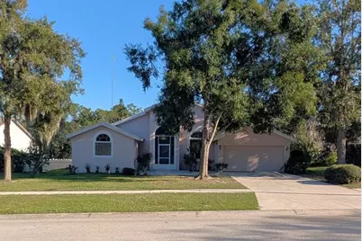 10120 Sedgebrook Drive, Riverview, FL 33569 - Photo 1