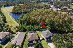 19266 Fishermans Bend Dr, Lutz, FL 33558 - Photo 1