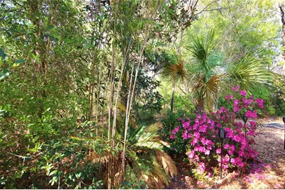 14 Carnation Court, Homosassa, FL 34446 - Photo 33