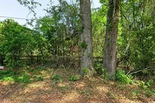 NE 175th St, Citra, FL 32113 - Photo 1