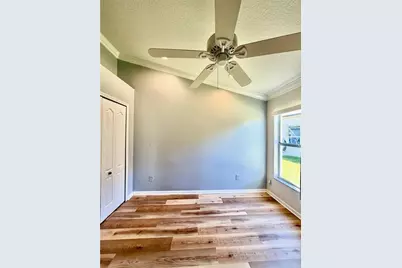 23824 Plantation Palms Boulevard, Land O Lakes, FL 34639 - Photo 29