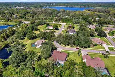 507 Surrey Lane, Lutz, FL 33549 - Photo 53