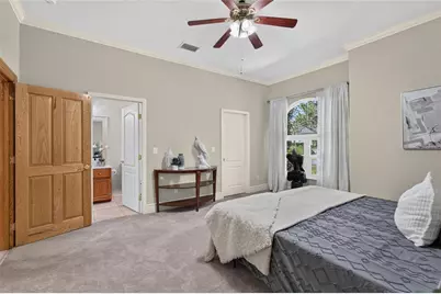 1009 Emerald Creek Drive, Valrico, FL 33596 - Photo 43