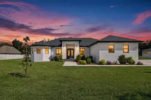 14080 Sydney Rd, Dover, FL 33527 - Photo 1