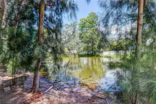 4621 W San Jose St, Tampa, FL 33629 - Photo 59