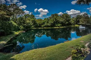 2138 Chianti Pl, Palm Harbor, FL 34683 - Photo 5
