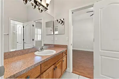 3916 Valrico Grove Drive, Valrico, FL 33594 - Photo 35