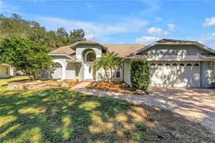 18520 Sunward Lake Pl, Lutz, FL 33549 - Photo 1
