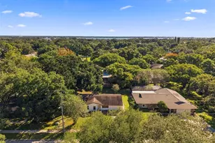 4104 N Bay Hills Blvd, Safety Harbor, FL 34695 - Photo 29