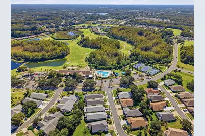 7451 Trovita Road, Land O Lakes, FL 34637 - Photo 29