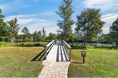 3007 Silvermill Loop, Land O Lakes, FL 34638 - Photo 71