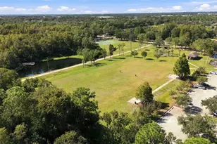 8708 Charming Knoll Ct, Tampa, FL 33635 - Photo 39