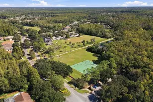 8708 Charming Knoll Ct, Tampa, FL 33635 - Photo 41
