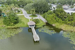 3937 Lake Shore Dr, Palm Harbor, FL 34684 - Photo 41