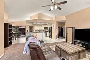 537 Centerwood Dr, Tarpon Springs, FL 34688 - Photo 11