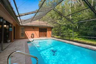 537 Centerwood Dr, Tarpon Springs, FL 34688 - Photo 37