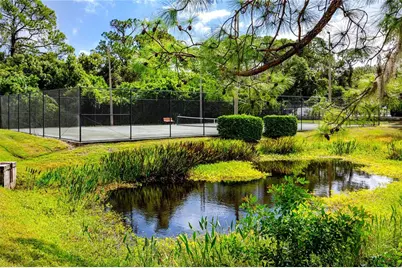 340 Buckingham Place, Palm Harbor, FL 34684 - Photo 39
