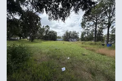 11913 Fawn Dale Dr, Riverview, FL 33569 - Photo 5