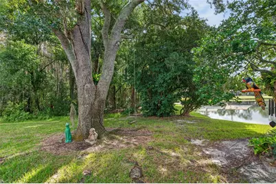 5490 Greyston Street, Palm Harbor, FL 34685 - Photo 47