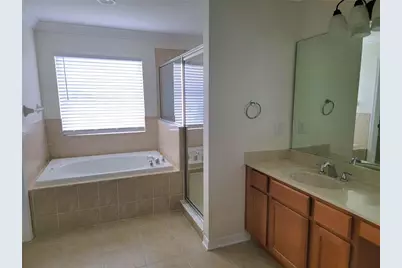 19023 Narimore Drive, Land O Lakes, FL 34638 - Photo 43