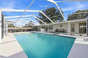 4303 Hollow Hill Dr, Tampa, FL 33624 - Photo 5