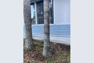 21632 State Road 54 #212, Lutz, FL 33549 - Photo 3