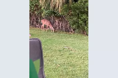 21632 State Road 54 #212, Lutz, FL 33549 - Photo 27
