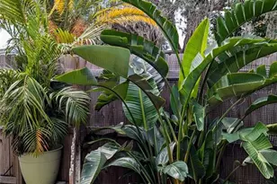 [Address not provided], Holiday, FL 34691 - Photo 21