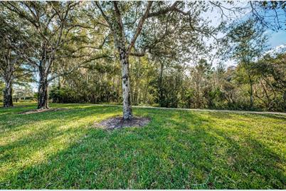 4390 Tarpon Lake Boulevard, Palm Harbor, FL 34685 - Photo 11