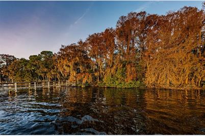 4390 Tarpon Lake Boulevard, Palm Harbor, FL 34685 - Photo 73