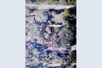 Tba NE 137th Terrace, Fort Mc Coy, FL 32134 - Photo 1