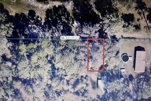 Tba NE 159th St, Fort Mc Coy, FL 32134 - Photo 1