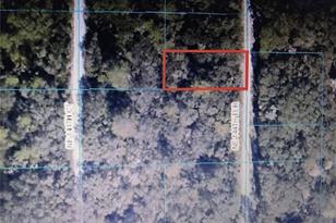 Tba NE 144th Terrace, Fort Mc Coy, FL 32134 - Photo 1