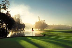 36750 US Hwy 19 N, Palm Harbor, FL 34684 - Photo 75