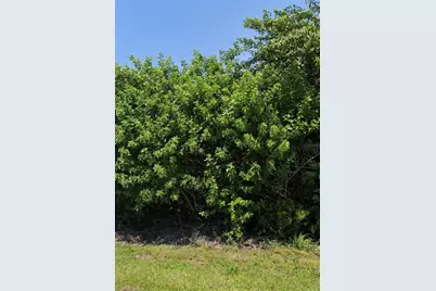 11082 Carnegie Avenue, Englewood, FL 34224 - Photo 3