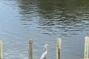 134 Carlyle Dr, Palm Harbor, FL 34683 - Photo 25