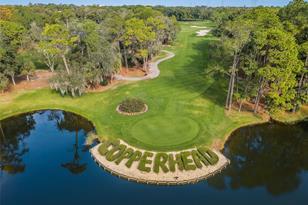 36750 US Hwy 19 N, Palm Harbor, FL 34684 - Photo 33