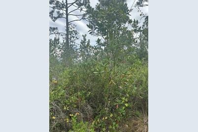 1112 Greenbriar Drive, Christmas, FL 32709 - Photo 7