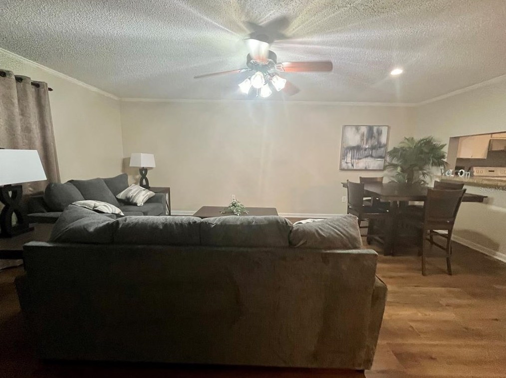 2394 Gun Flint Trl, Palm Harbor FL  34683-2454 exterior