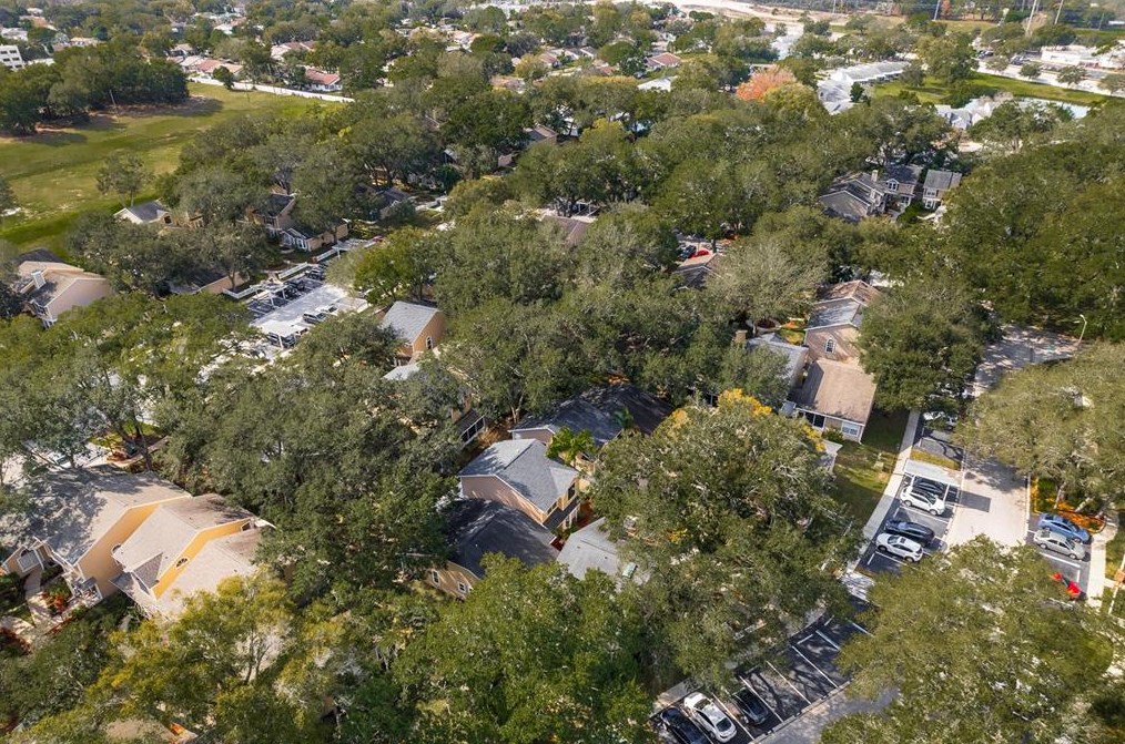 2394 Gun Flint Trl, Palm Harbor FL  34683-2454 exterior