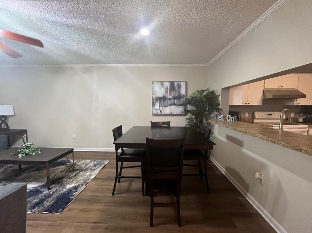 2394 Gun Flint Trl, Palm Harbor FL  34683-2454 exterior