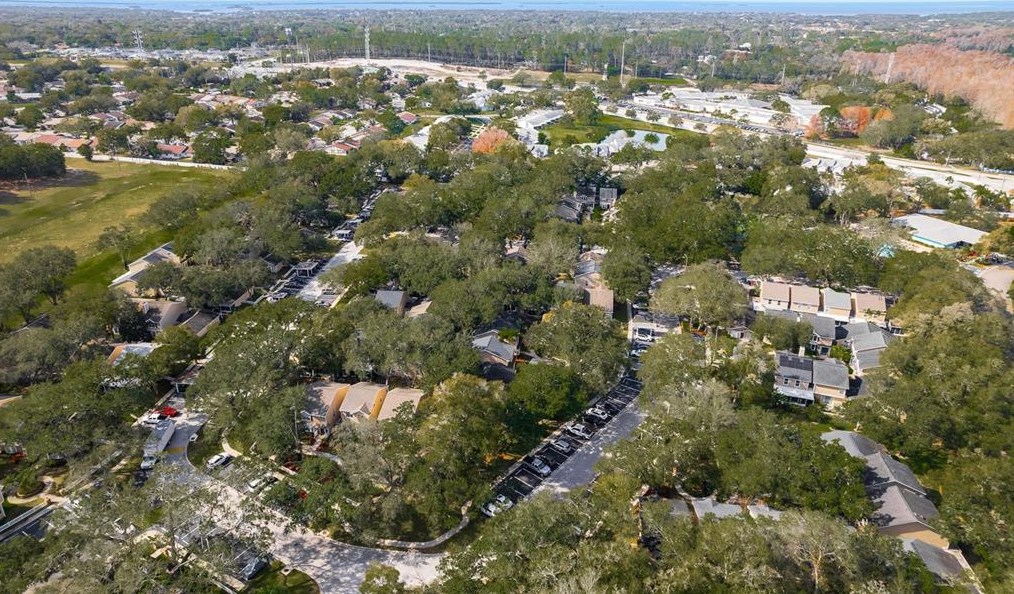 2394 Gun Flint Trl, Palm Harbor FL  34683-2454 exterior