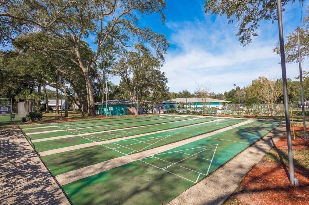 2394 Gun Flint Trl, Palm Harbor FL  34683-2454 exterior