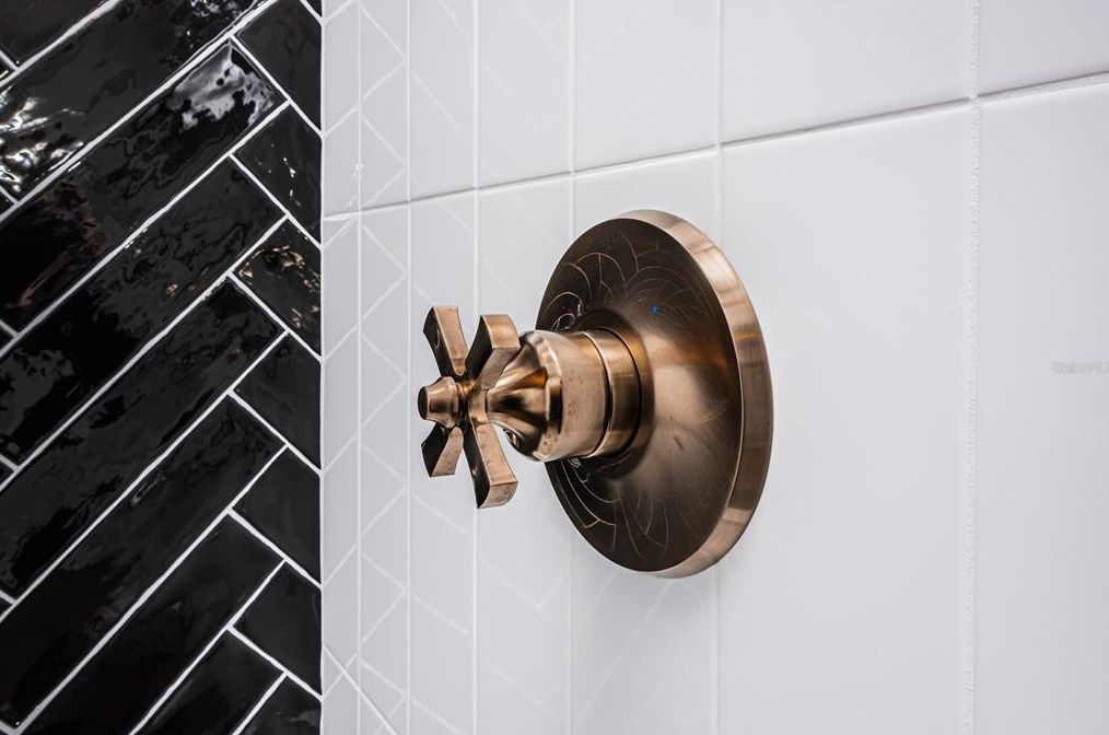 2219 Occident St, Tampa FL  33629-5423 exterior