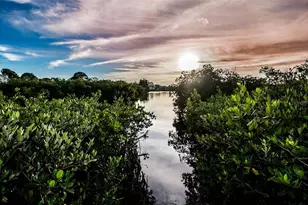 1500 Ember Ln, Tarpon Springs, FL 34689 - Photo 53