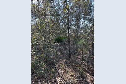 7179 W Merrivale Lane, Homosassa, FL 34446 - Photo 5