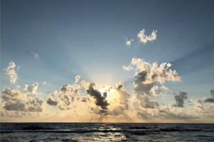 1230 Gulf Blvd, Clearwater, FL 33767 - Photo 37