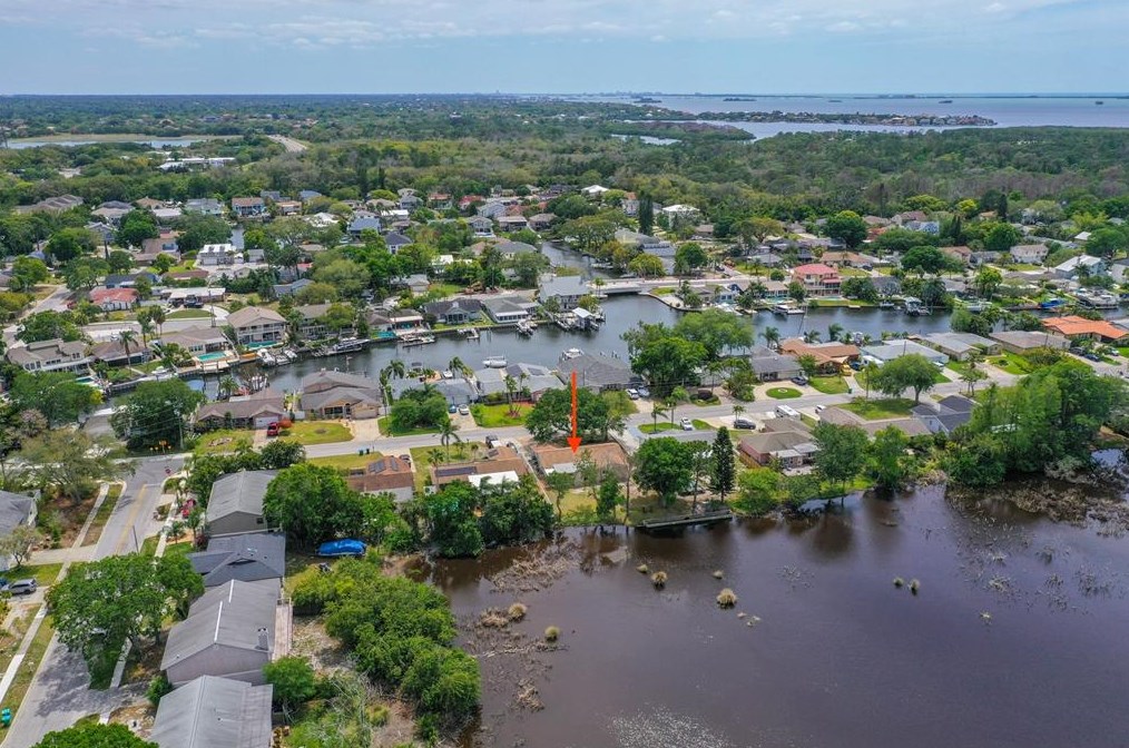 381 Westwinds Dr, Palm Harbor FL  34683-1041 exterior