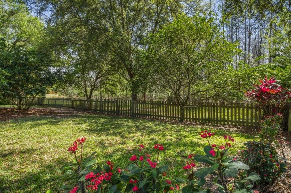 5412 Garden Arbor Dr, Lutz FL  33558-9098 exterior